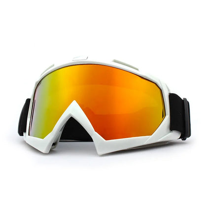 Alpine Reflex Ski Goggles